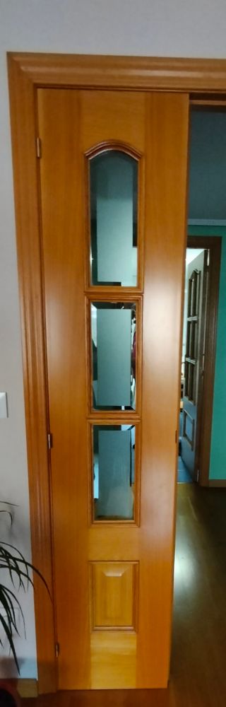Puerta salón maciza