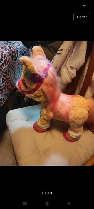 Pony canela