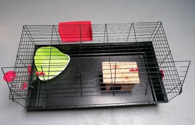 Jaula conejo cobaya
