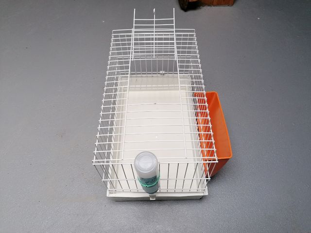 Jaula para conejo o cobaya