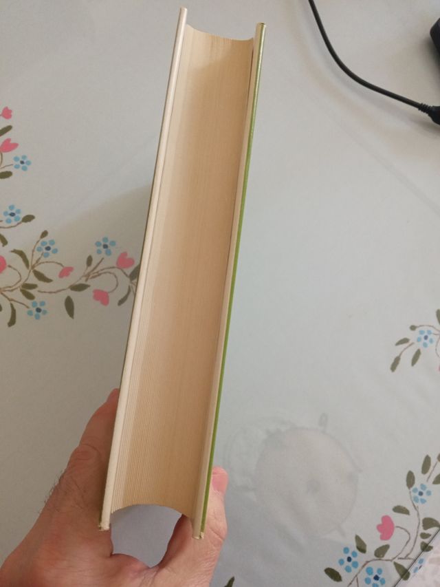 Acosta, De Procuranda Indorum Salute