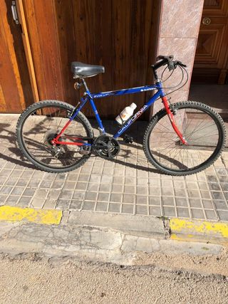 Bicicleta cadete