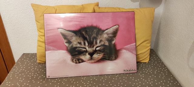 Protector escritorio