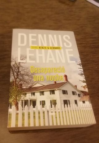 Desapareció una noche (NOVELA POLICÍACA) (Spanish Edition)