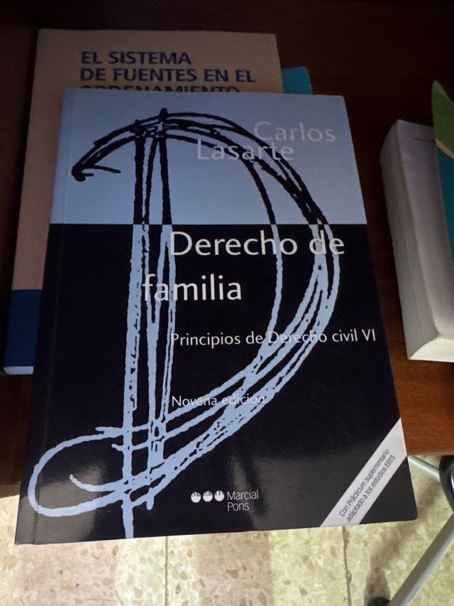 Principios de Derecho civil. Tomo VI Spanish Edi