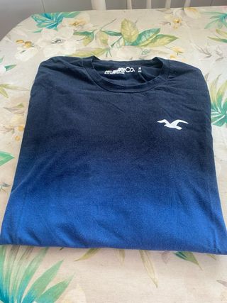 CAMISETAS MANGA LARGA HOLLISTER