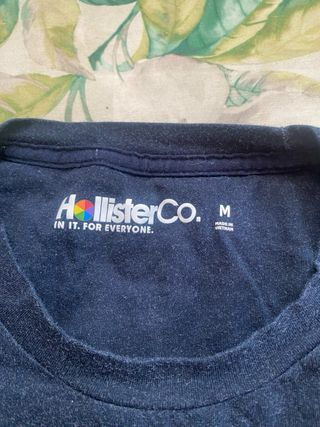 CAMISETAS MANGA LARGA HOLLISTER