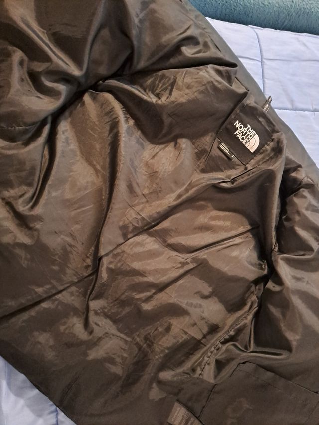 Chaqueta the north face