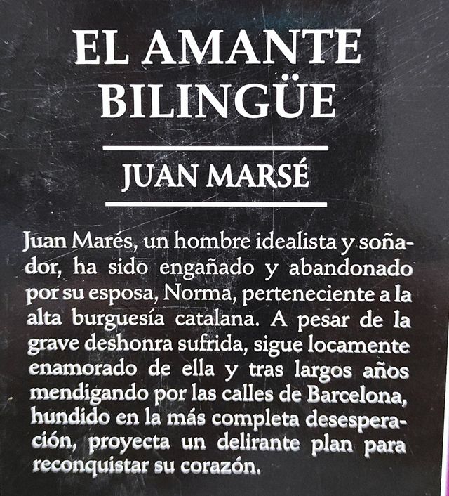 Lote 4 libros lectura