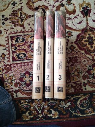 3 tomos atlas de anatomía humana