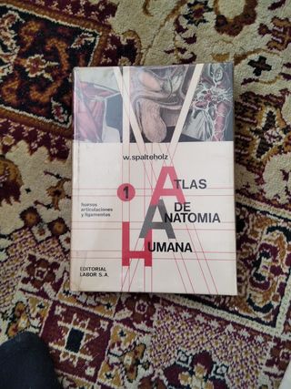 3 tomos atlas de anatomía humana