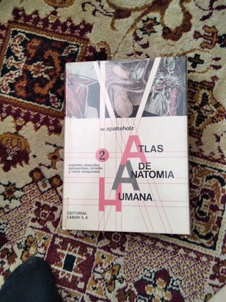 3 tomos atlas de anatomía humana