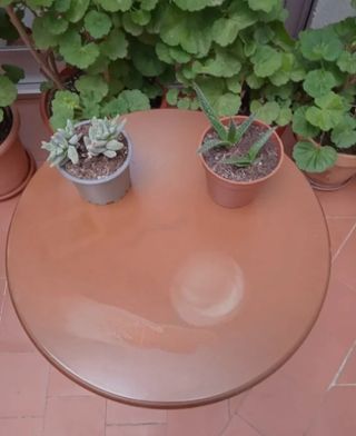 MESA HECHA A MANO ANTIGUA MADERA NATURAL ESTANTES