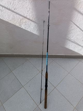Caña de pesca