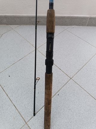 Caña de pesca