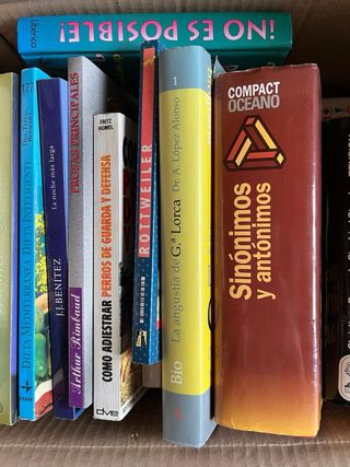 Lote libros 