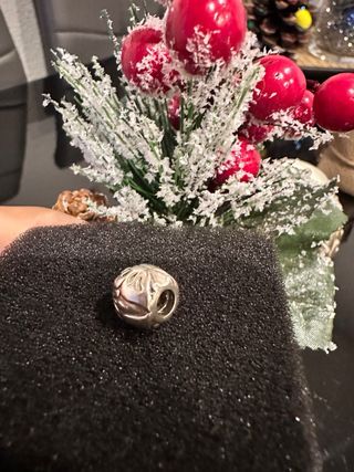 Charm pandora 