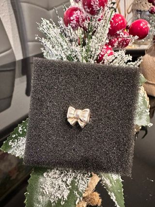 Charm pandora