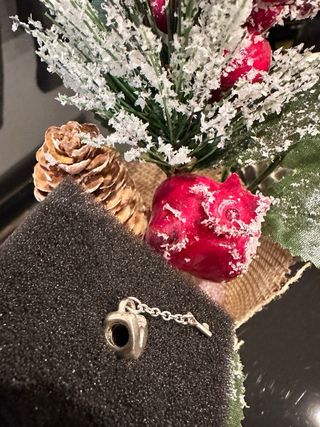 Charm pandora 