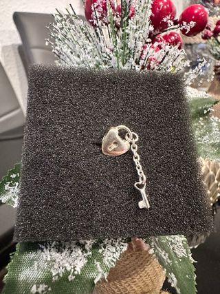 Charm pandora 