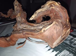 Tronco acuario.