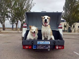 TowBox PortaPerros