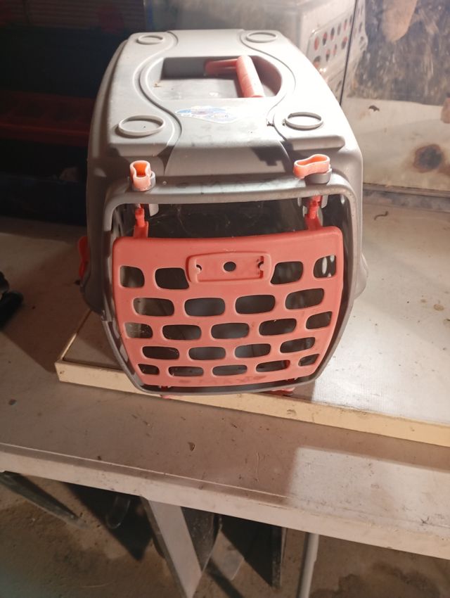 Transportista de gato