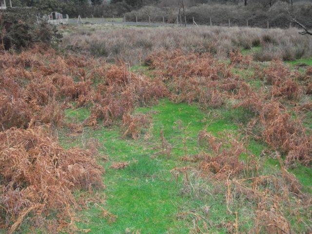 Se vende finca urbanizable