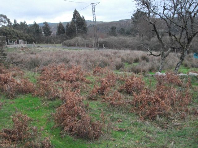 Se vende finca urbanizable