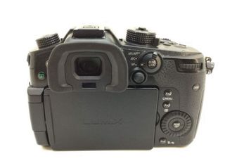 Lumix GH5 G Vario 12 60 mm