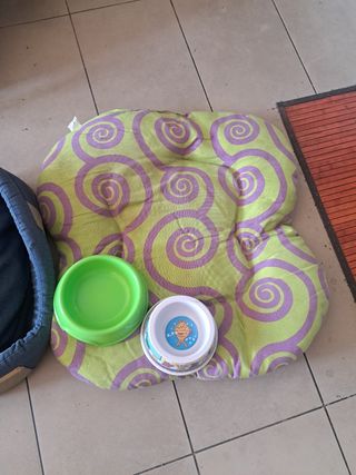 Camas para perros gatos..