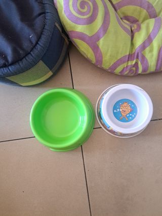 Camas para perros gatos..