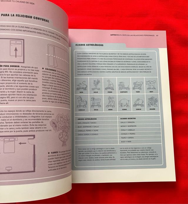 Libro Feng Shui Total Lillian Too