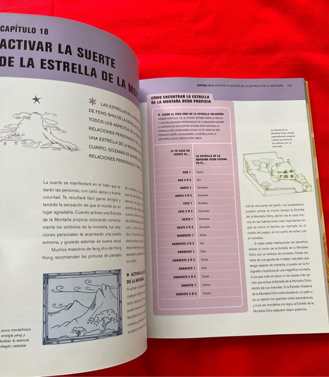 Libro Feng Shui Total Lillian Too