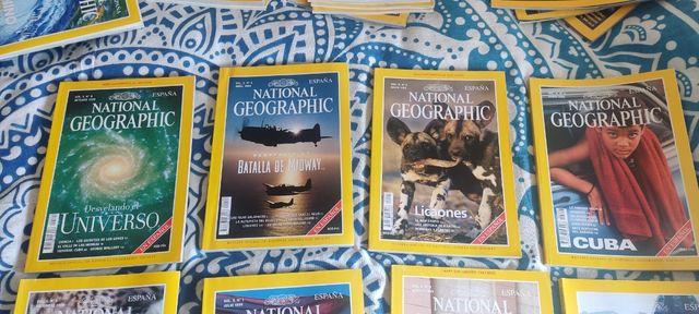 Lote 8 revistas national geographic 1999