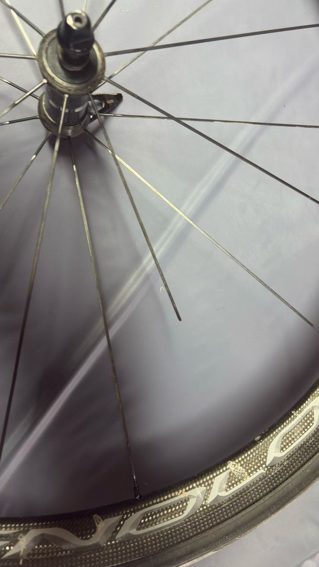 Campagnolo Bora Ultra 35 Cubierta zapata