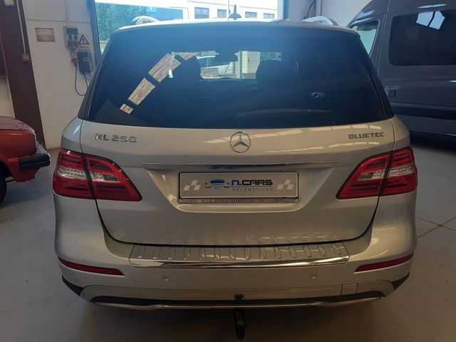 Mercedes Clase M 250 Bluetec 4 Matic 
