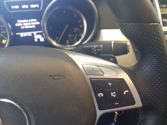 Mercedes Clase M 250 Bluetec 4 Matic 