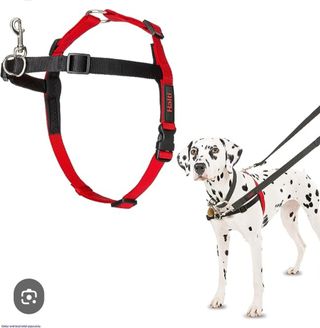 Arnés anti tirones Halti y:M