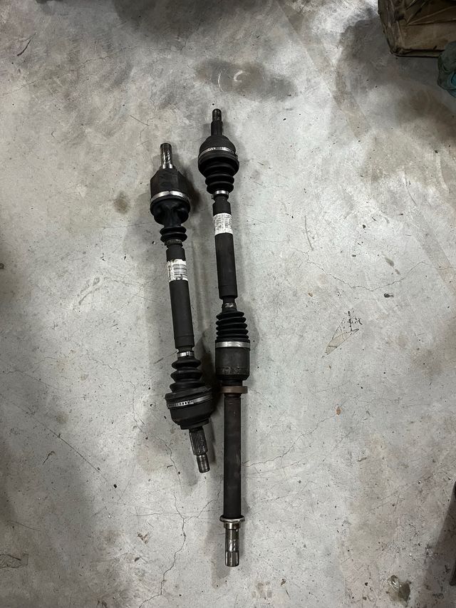 Palieres clio 3 RS 197