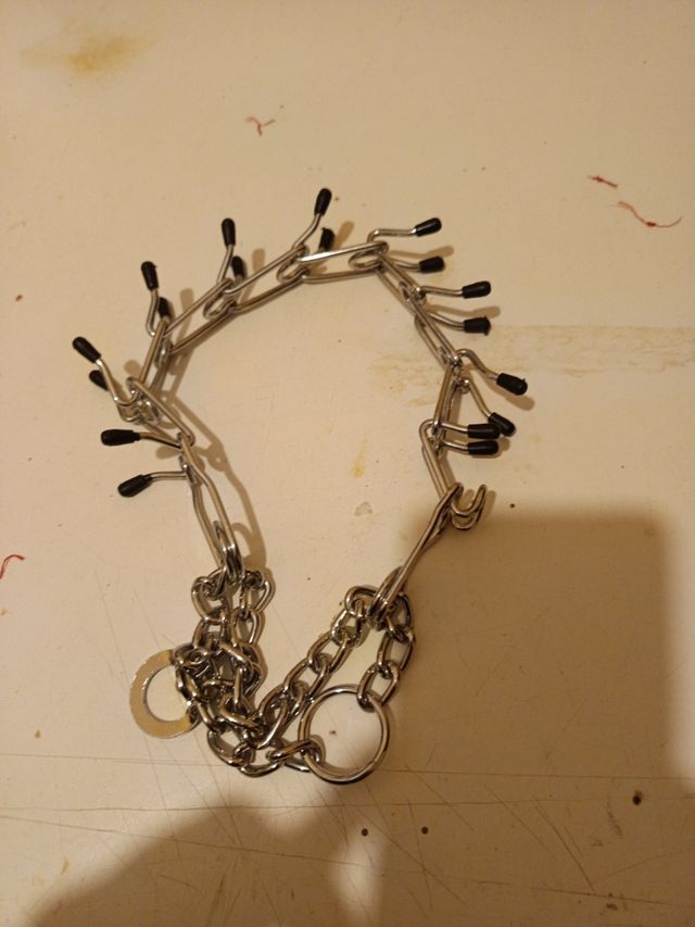 Collar perro metalico