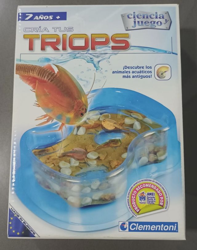 Triops. Huevos de triops