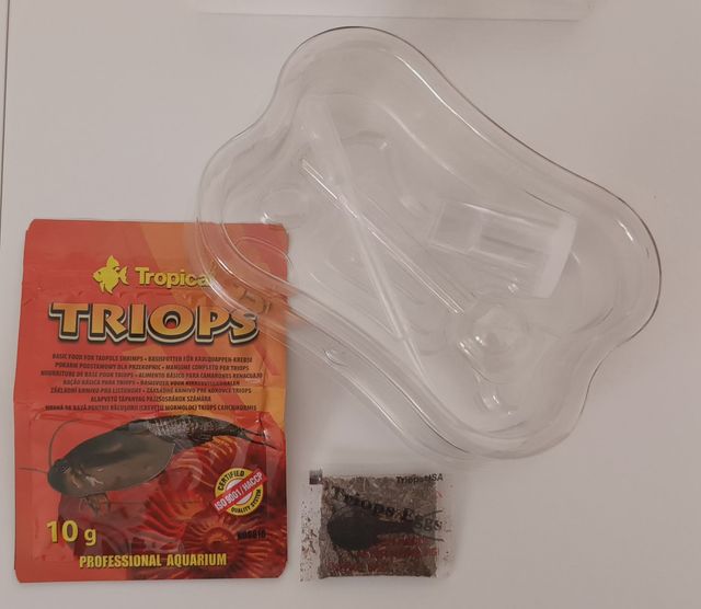 Triops. Huevos de triops