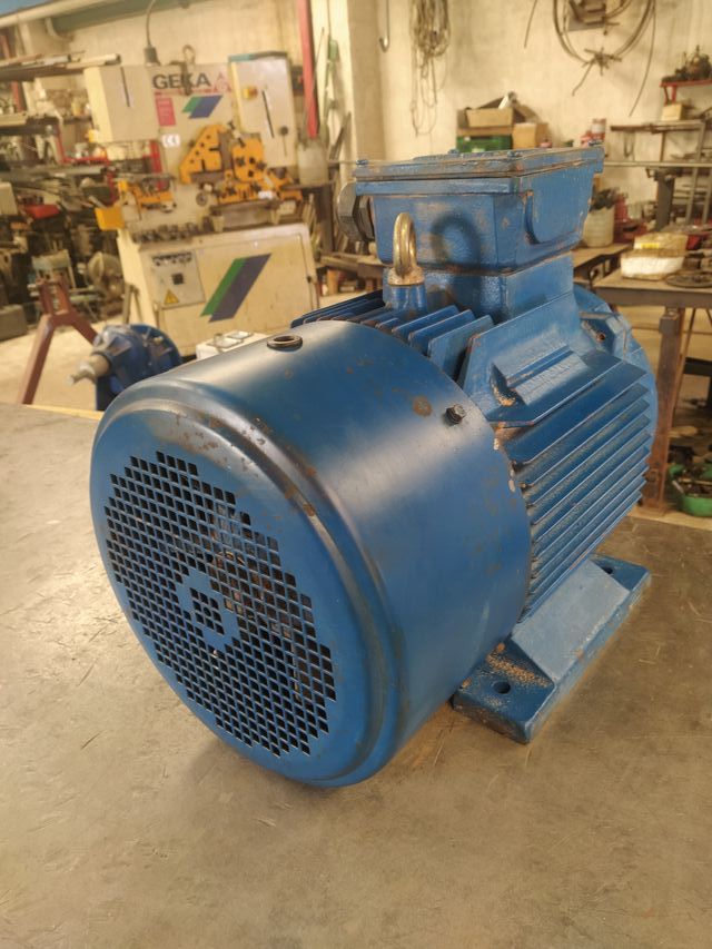 Motor electrico
