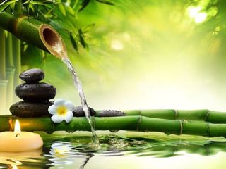 Quiromasajista Carlos titulado