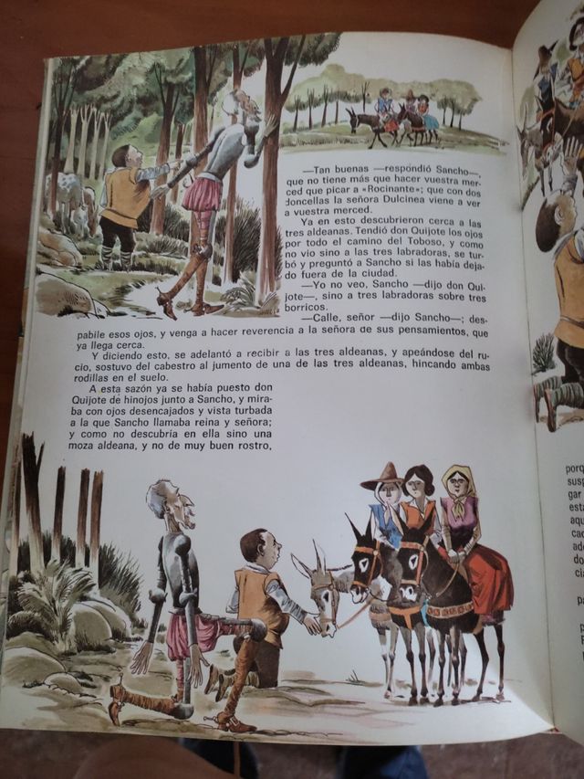 Don Quijote de la mancha