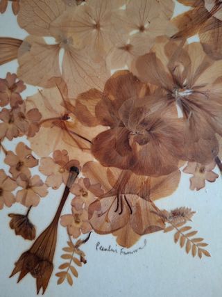 Cuadros de flores secas vintage con firma