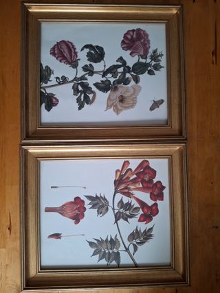 Marcos madera dorados con laminas flores