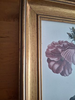 Marcos madera dorados con laminas flores