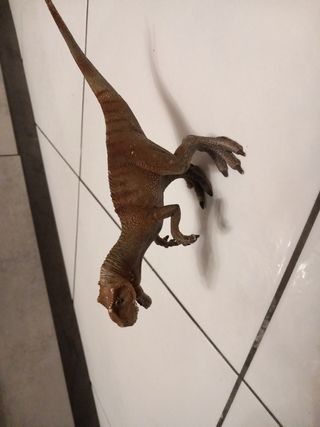 All'oscuro dinosauro da collezione 